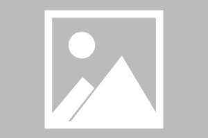 【潜艇学院分数线/中国人民解放军潜艇学院分数线】