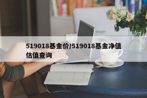 519018基金价/519018基金净值估值查询