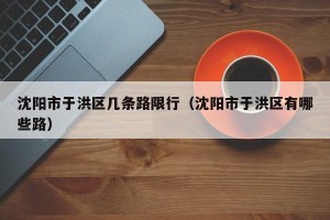 沈阳市于洪区几条路限行（沈阳市于洪区有哪些路）