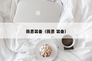 薇恩装备（薇恩 装备）