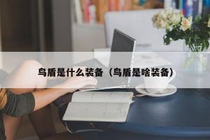 鸟盾是什么装备（鸟盾是啥装备）