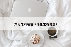 净化之石装备（净化之石电影）