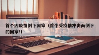 首个因疫情倒下国家（首个受疫情冲击而倒下的国家!）