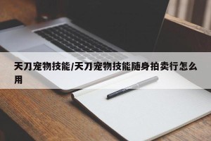 天刀宠物技能/天刀宠物技能随身拍卖行怎么用