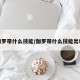 伽罗带什么技能/伽罗带什么技能出场