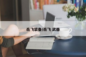 岳飞装备/岳飞 武器