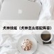 犬神技能（犬神怎么搭配阵容）